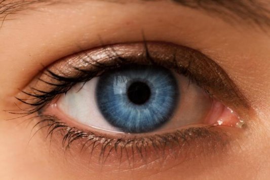 Beautiful Blue Eye