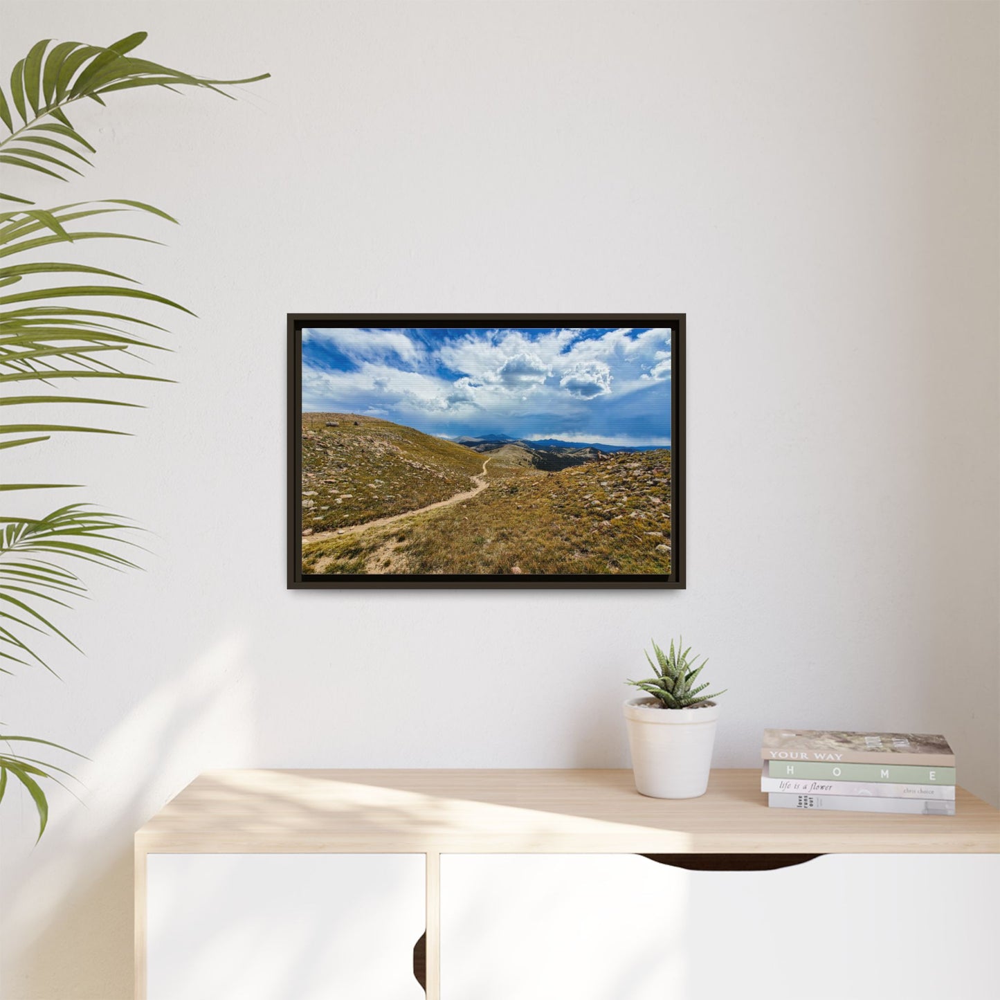 Framed Canvas Print - Collegiate West - Colorado Trail