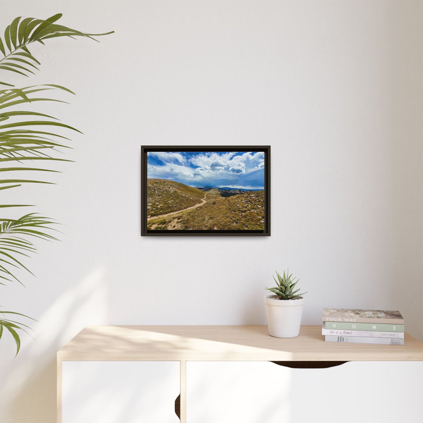 Framed Canvas Print - Collegiate West - Colorado Trail