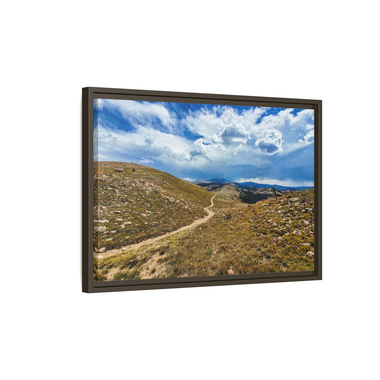 Framed Canvas Print - Collegiate West - Colorado Trail