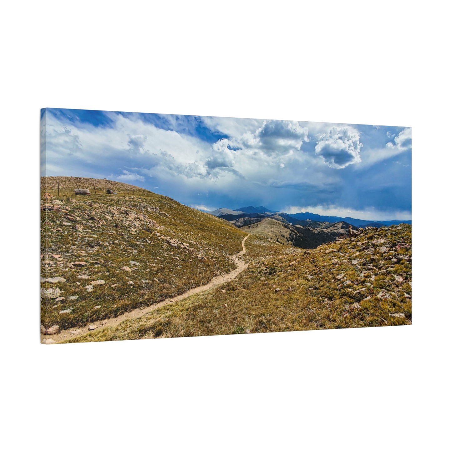 Wrapped Canvas Print - Collegiate West, Colorado Trail