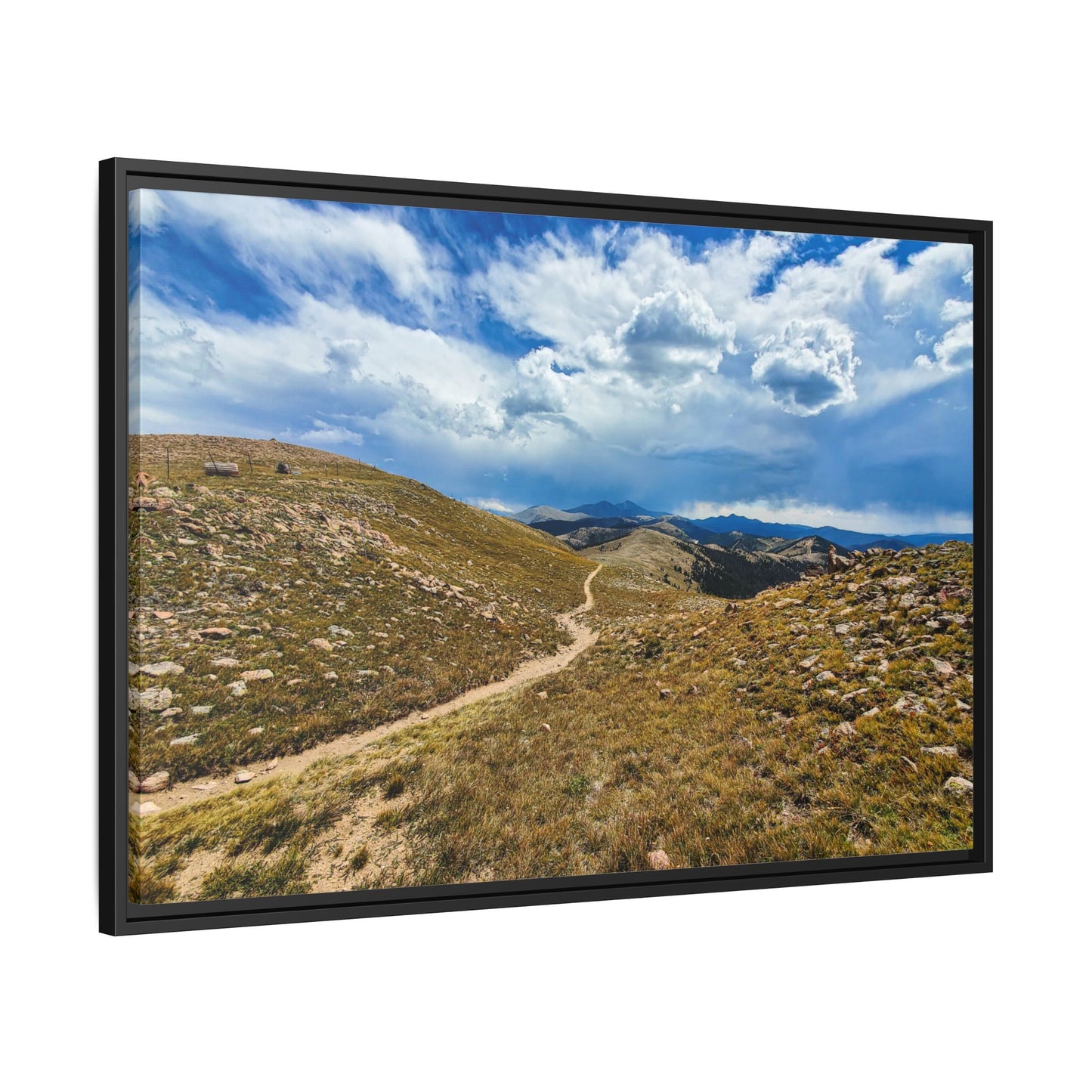 Framed Canvas Print - Collegiate West - Colorado Trail