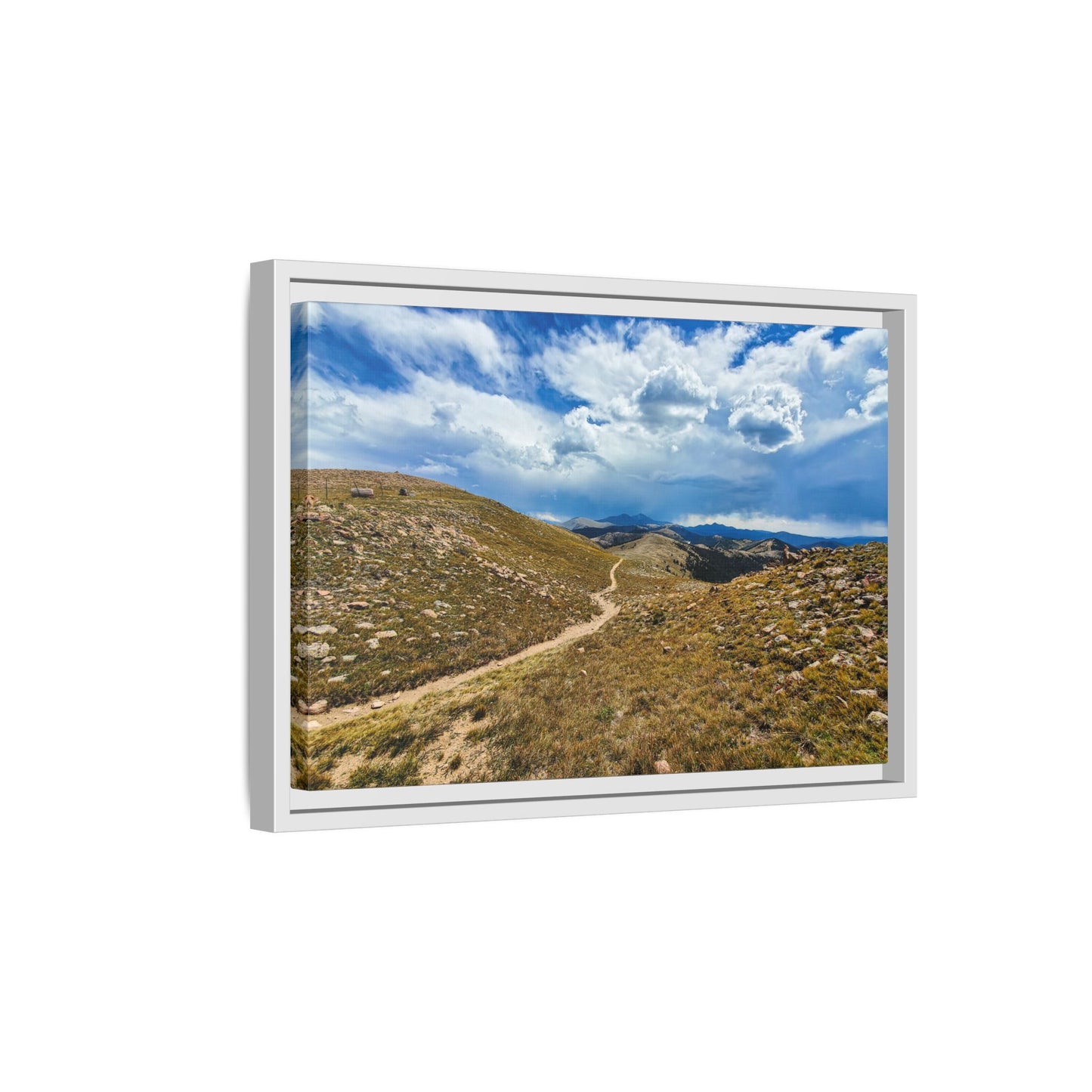 Framed Canvas Print - Collegiate West - Colorado Trail