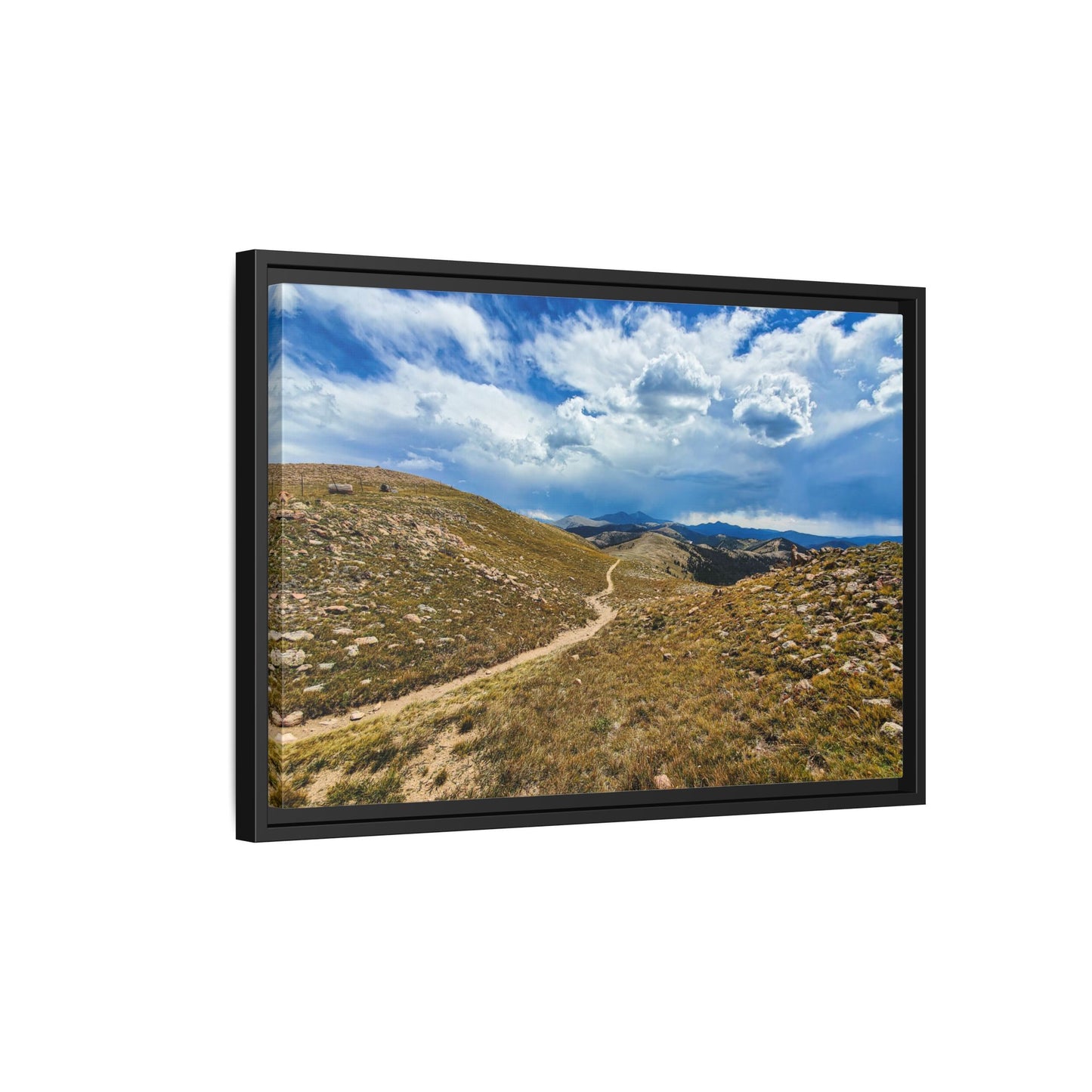 Framed Canvas Print - Collegiate West - Colorado Trail