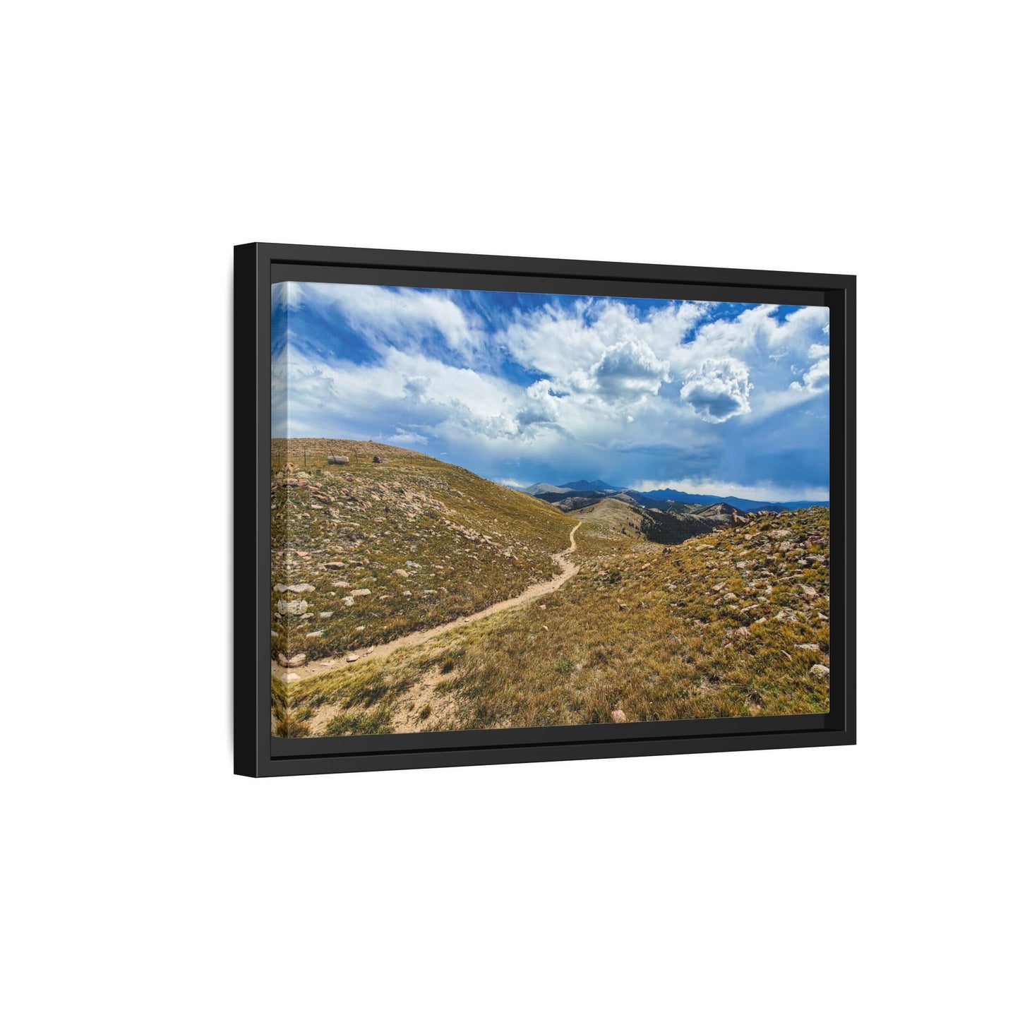 Framed Canvas Print - Collegiate West - Colorado Trail