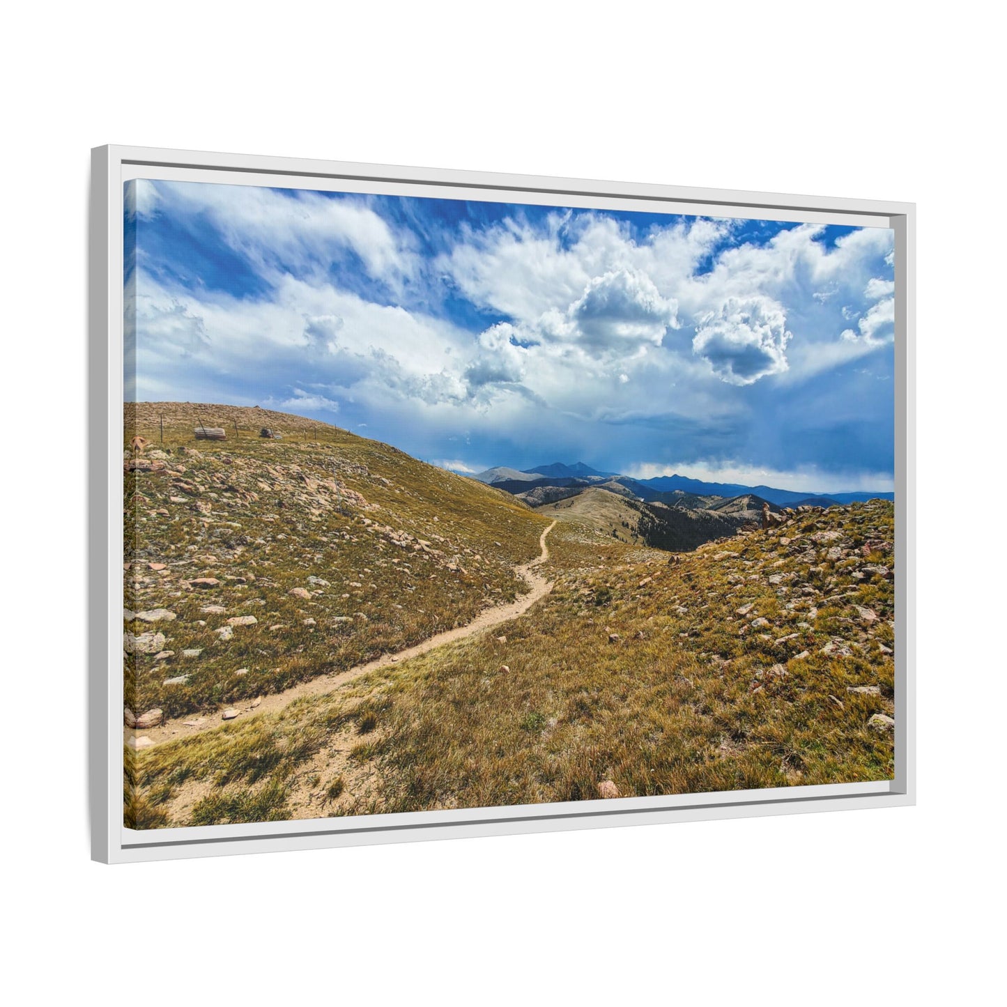 Framed Canvas Print - Collegiate West - Colorado Trail