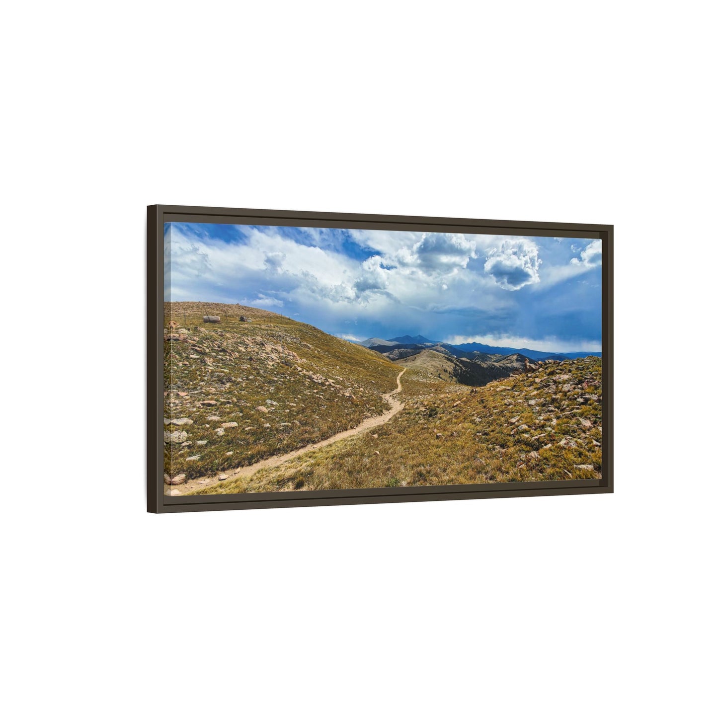 Framed Canvas Print - Collegiate West - Colorado Trail