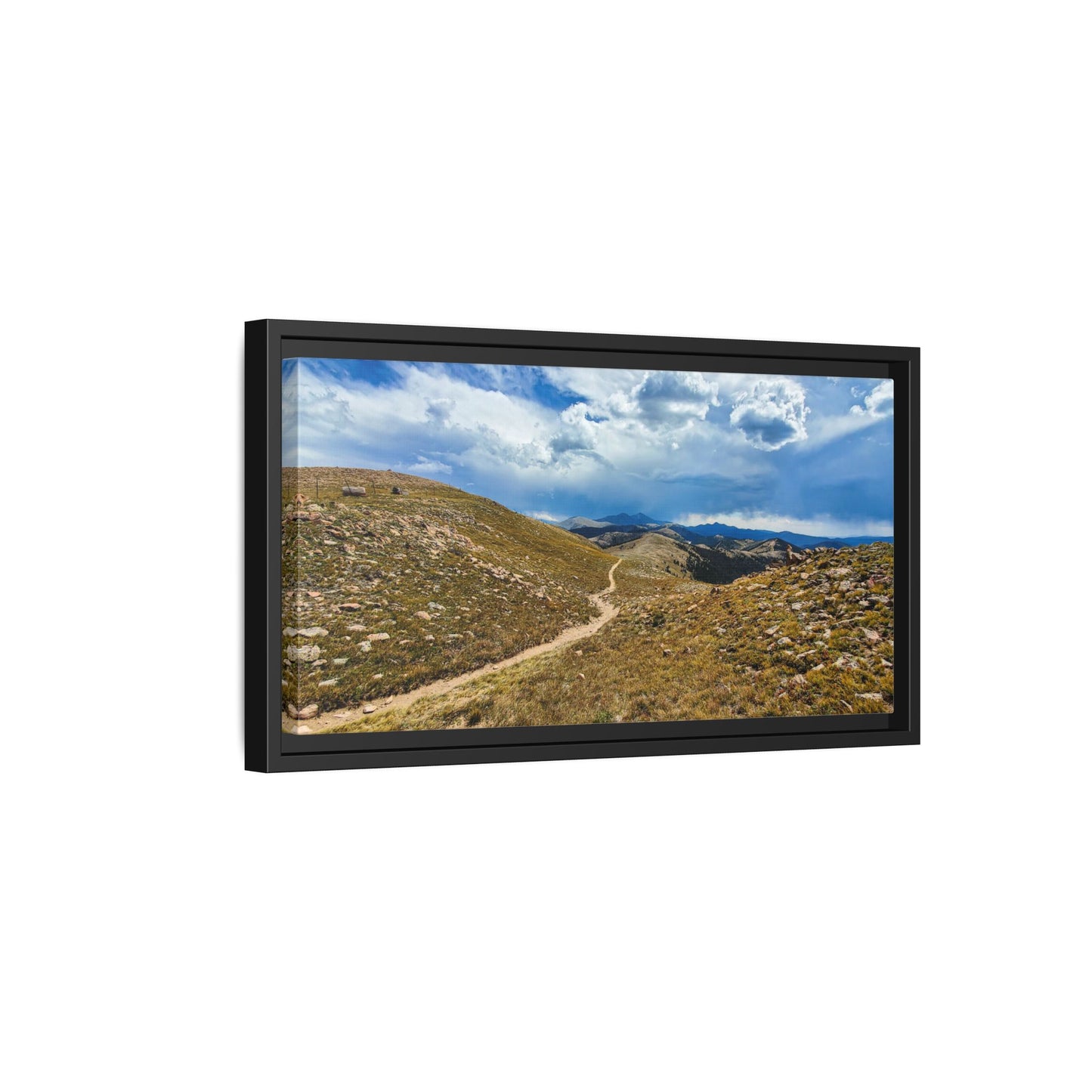 Framed Canvas Print - Collegiate West - Colorado Trail