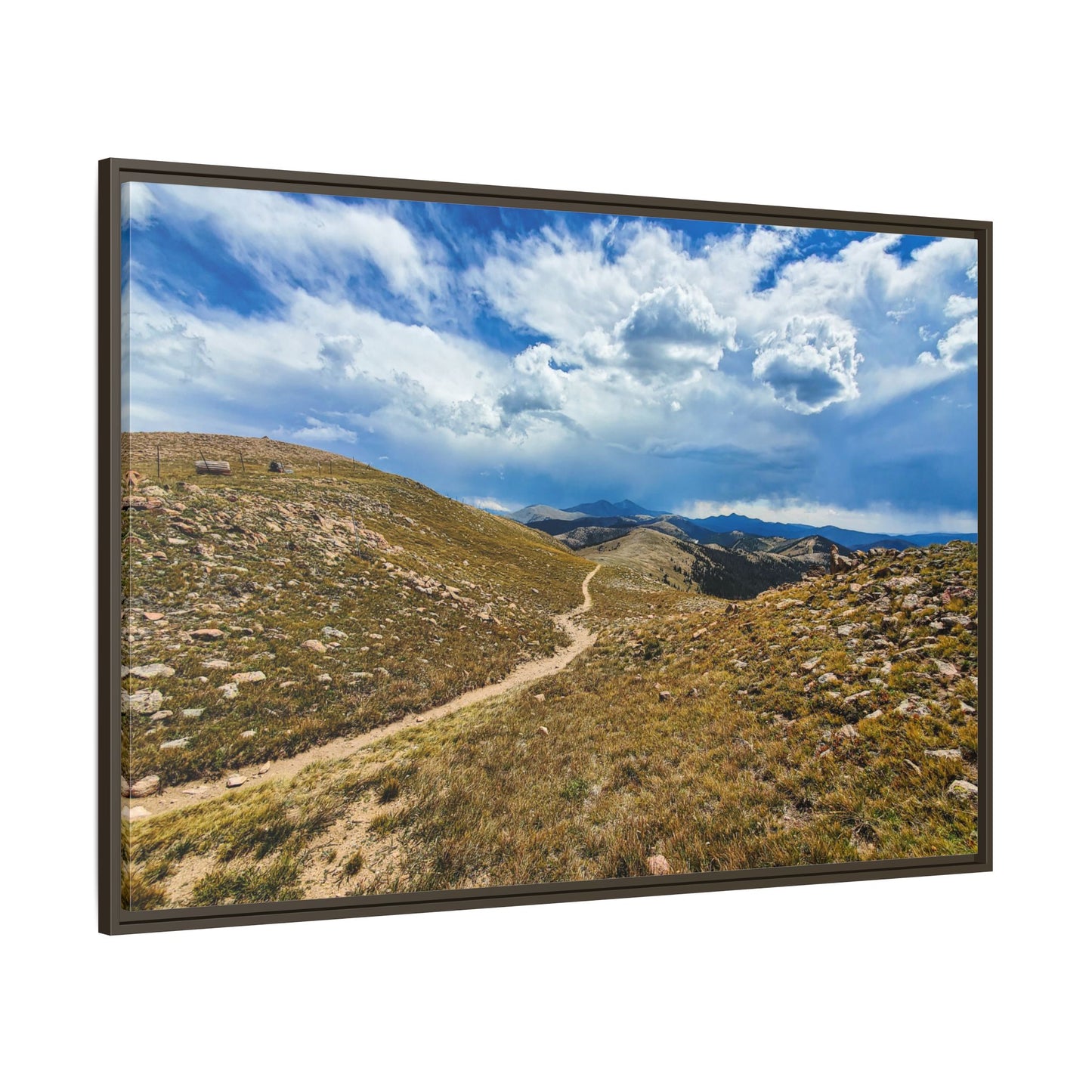 Framed Canvas Print - Collegiate West - Colorado Trail