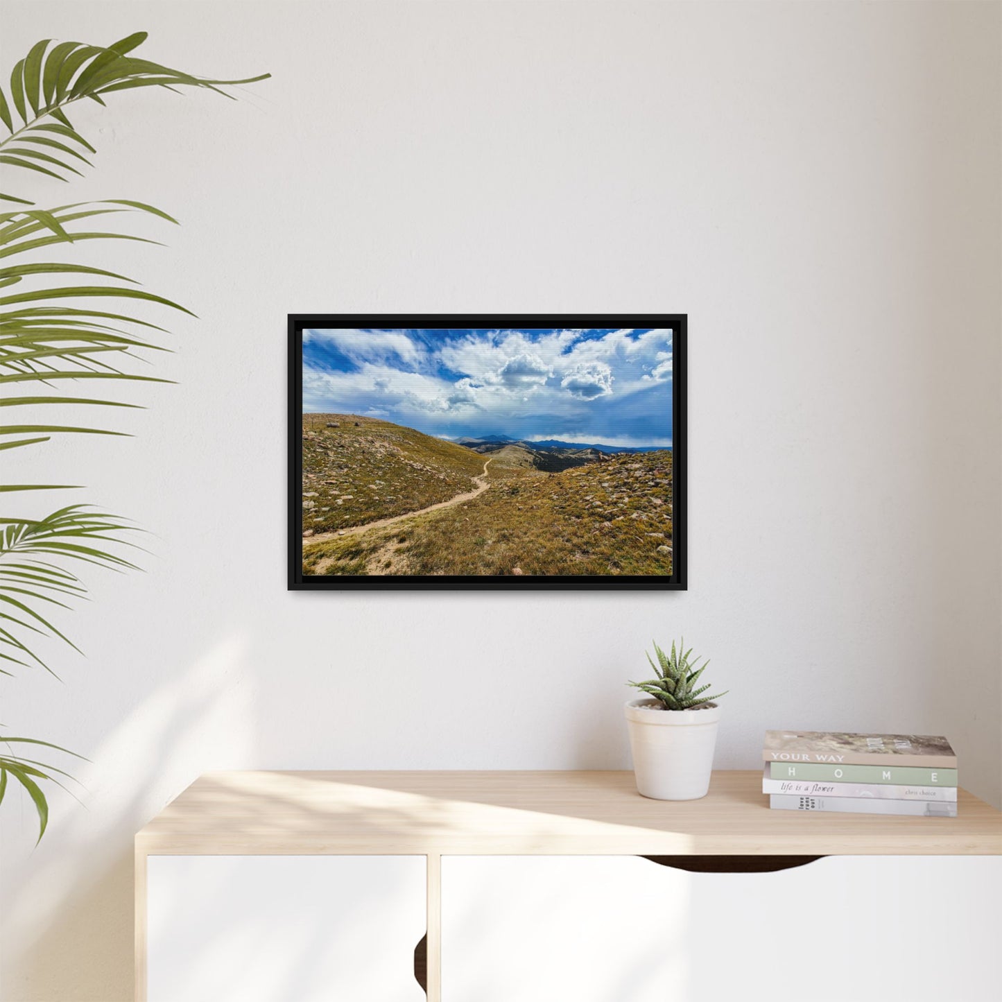 Framed Canvas Print - Collegiate West - Colorado Trail