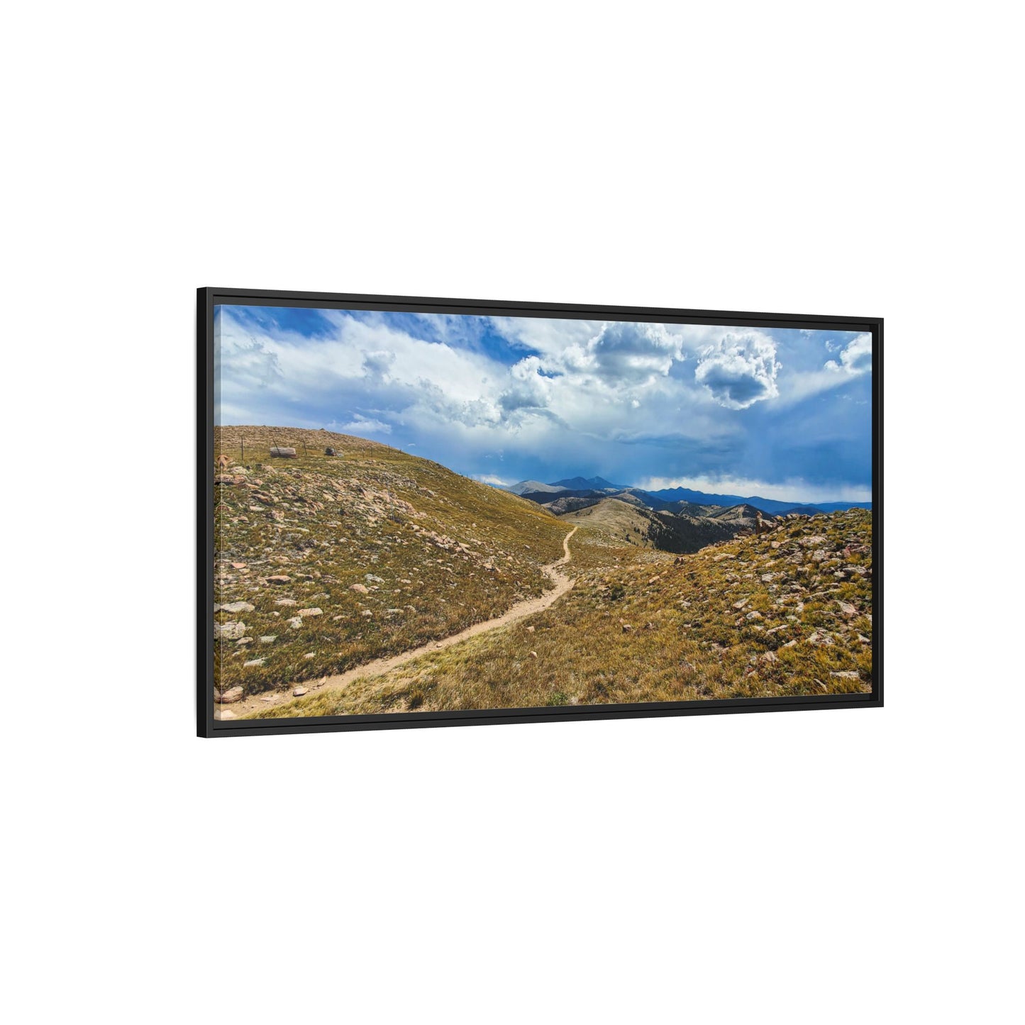 Framed Canvas Print - Collegiate West - Colorado Trail