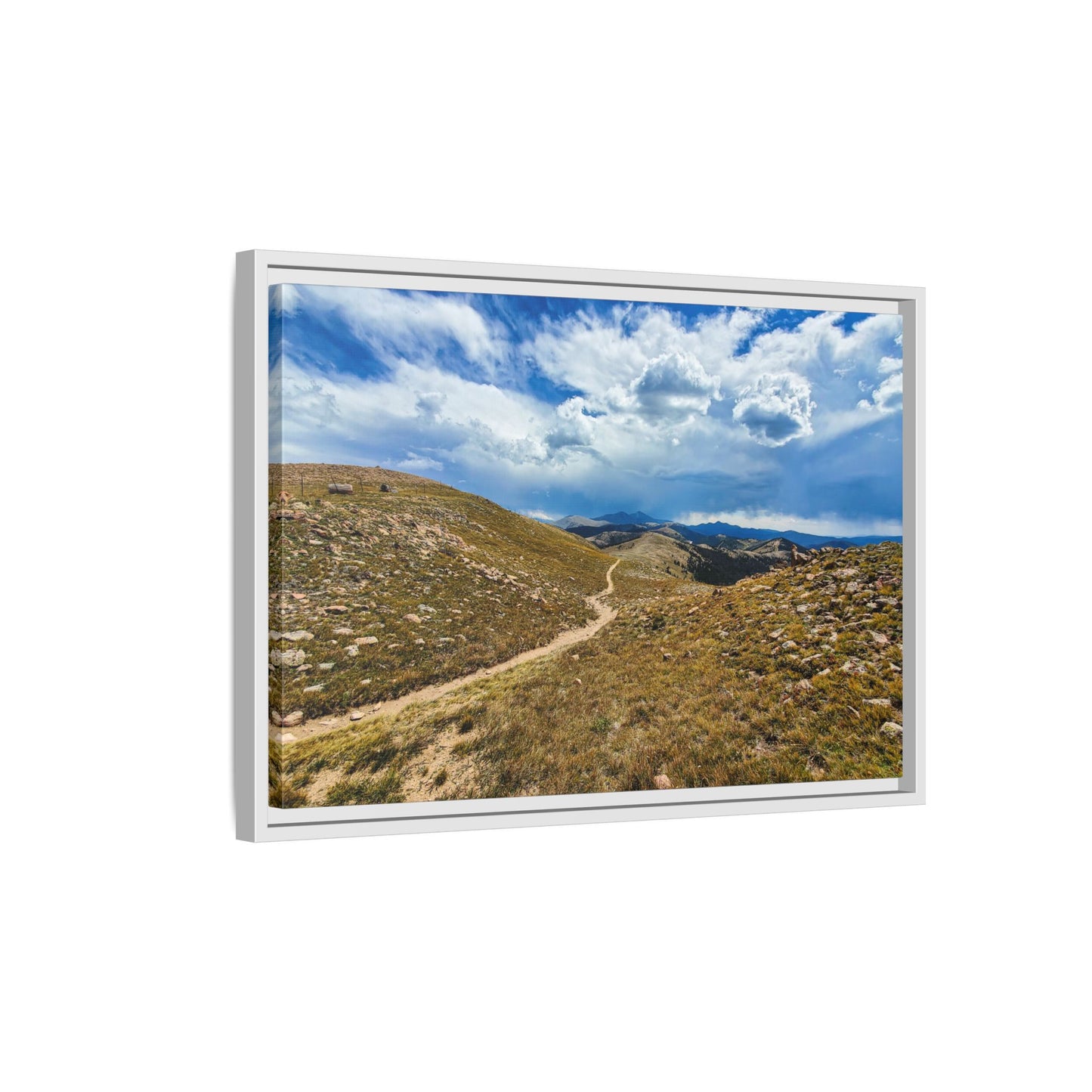 Framed Canvas Print - Collegiate West - Colorado Trail