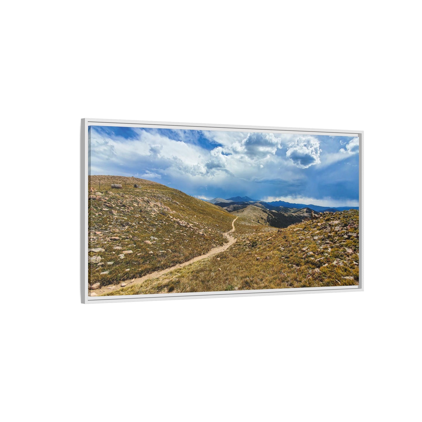 Framed Canvas Print - Collegiate West - Colorado Trail