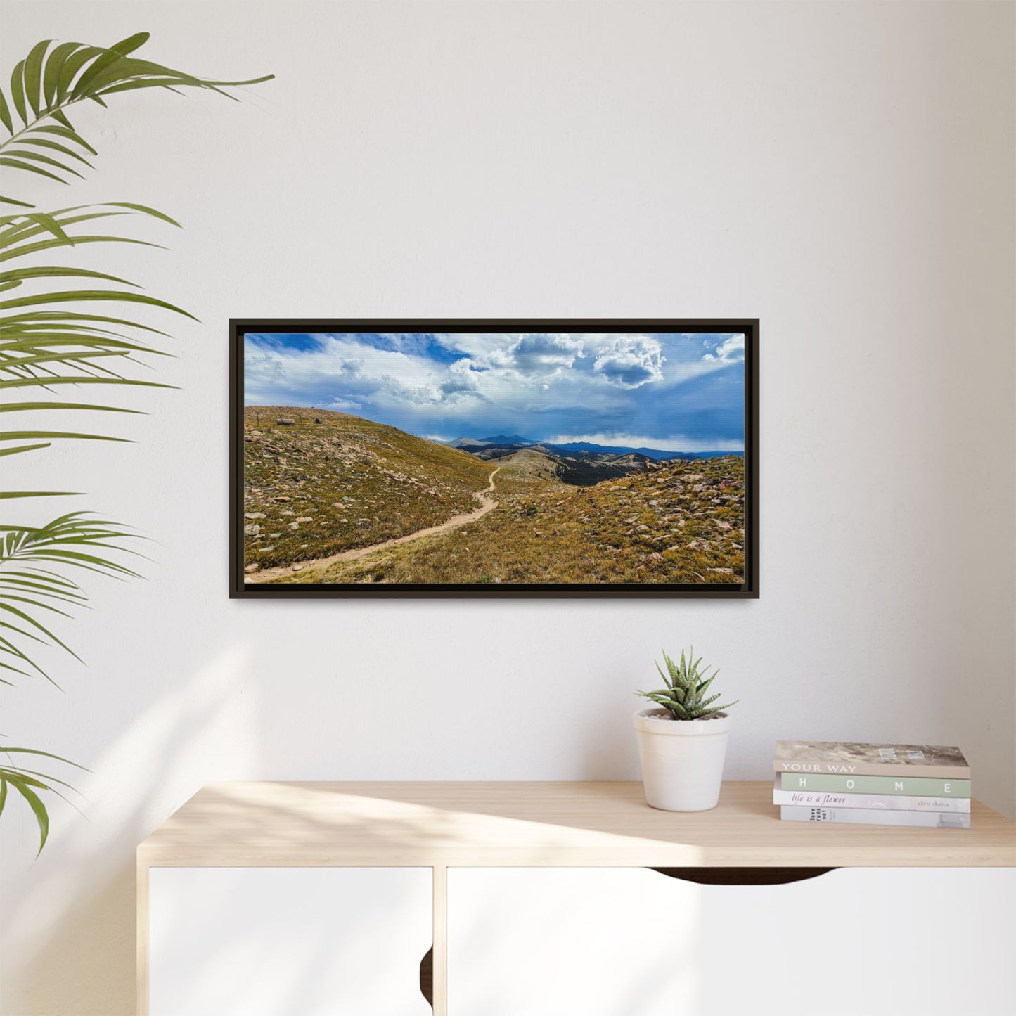 Framed Canvas Print - Collegiate West - Colorado Trail