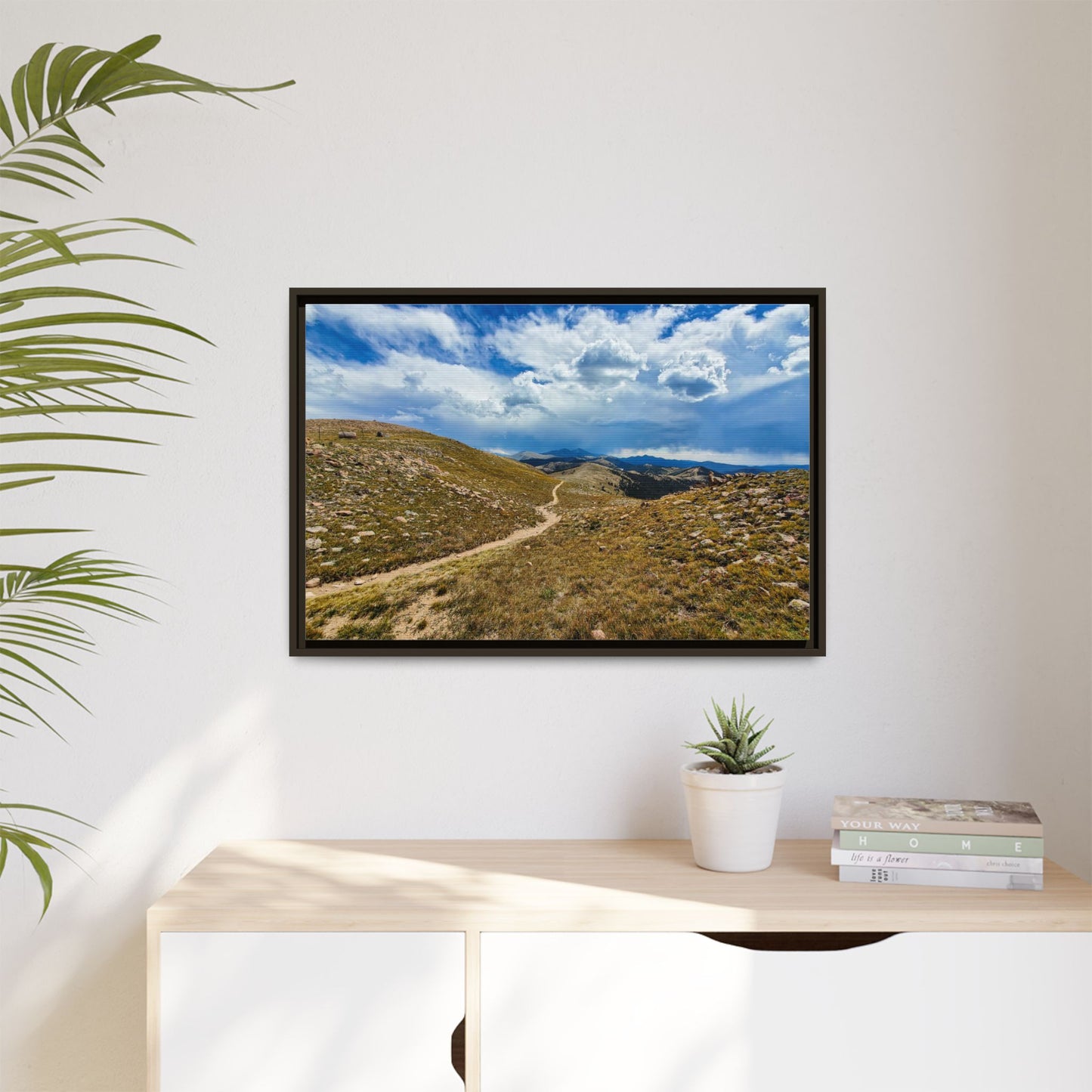 Framed Canvas Print - Collegiate West - Colorado Trail