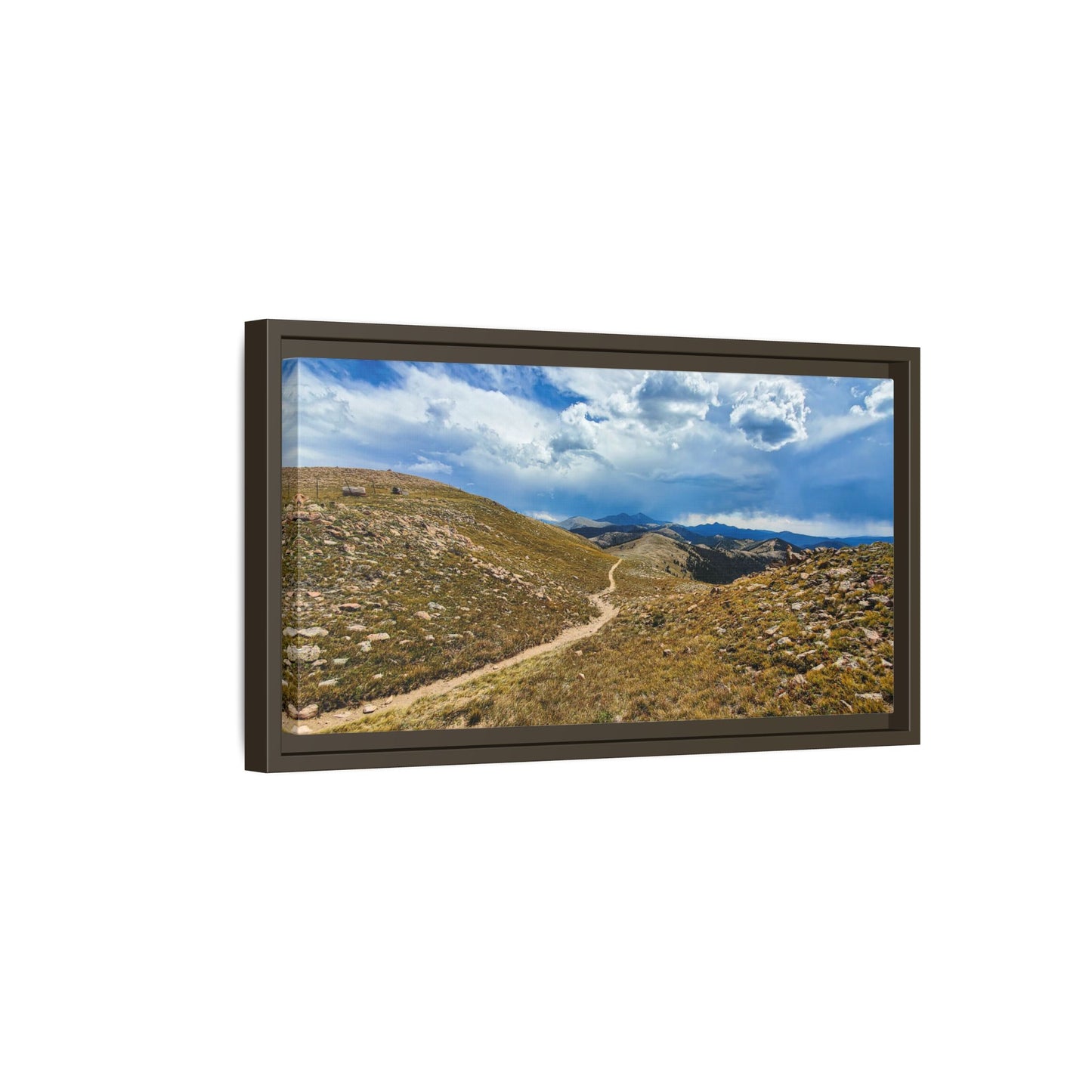 Framed Canvas Print - Collegiate West - Colorado Trail