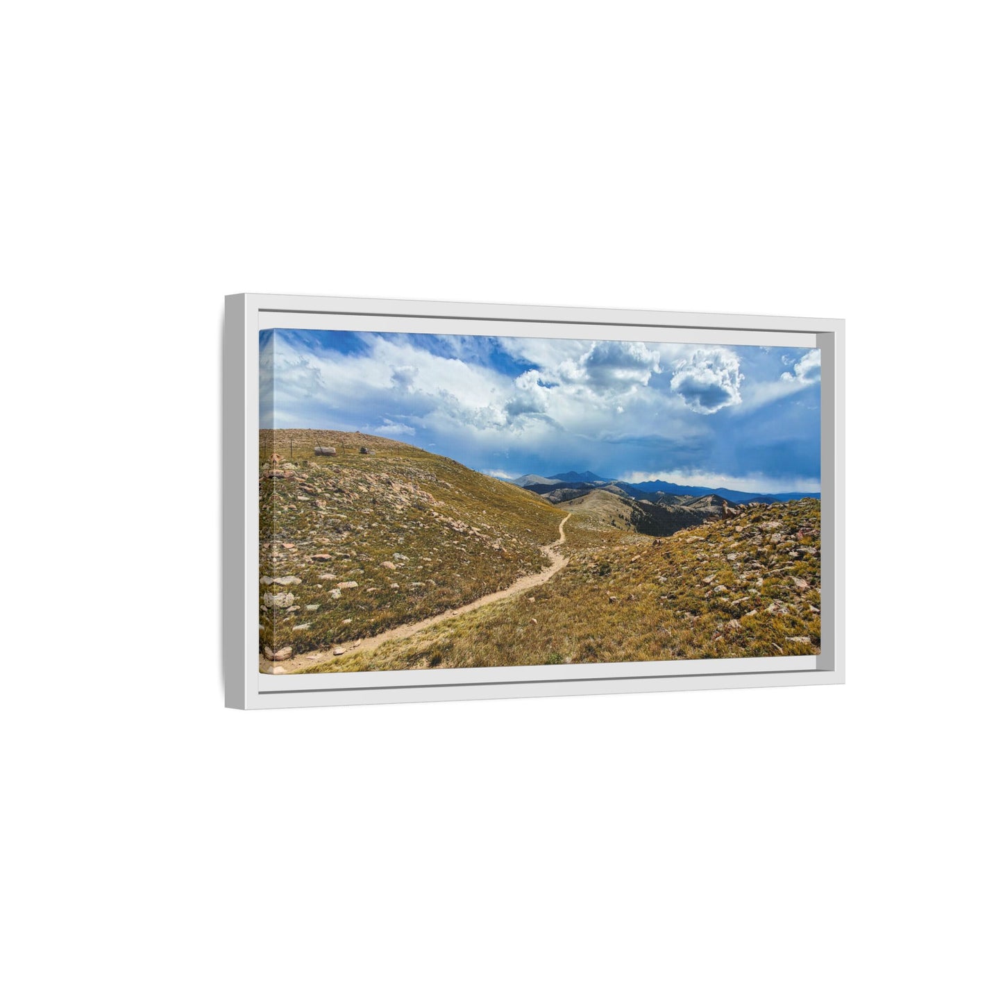 Framed Canvas Print - Collegiate West - Colorado Trail