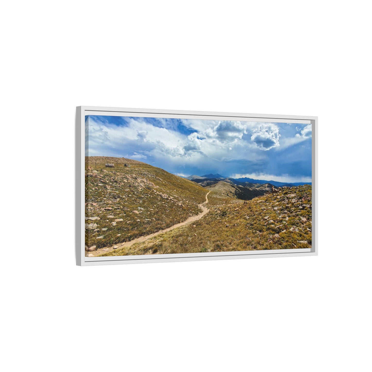 Framed Canvas Print - Collegiate West - Colorado Trail